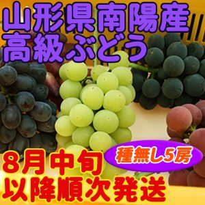 種無し品種5房詰合せ