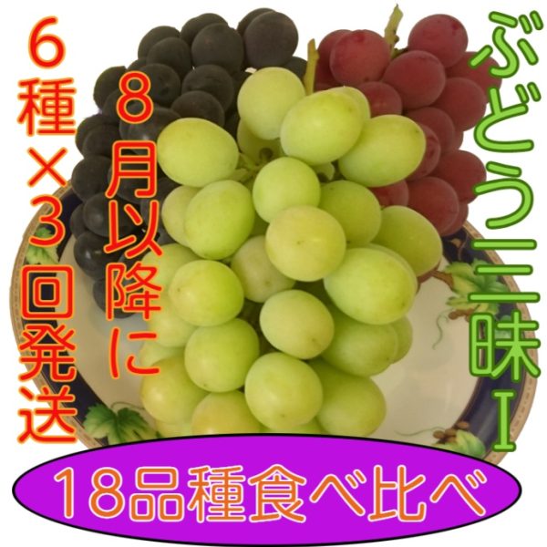 送料無料】ぶどう三昧Ⅰ☆18品種食べ比べ！6品種ずつ3回に分けて出荷♪