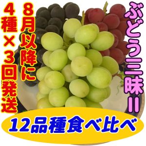 【送料無料】ぶどう三昧Ⅱ☆12品種食べ比べ！4品種ずつ3回に分けて出荷♪