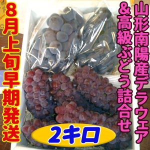 デラウェア＆高級ぶどう詰合せ2キロ☆8月上旬～中旬に高級ぶどうを当園最速で出荷！