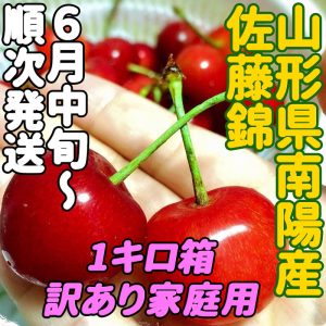 南陽特産の真っ赤で甘酸っぱいさくらんぼ佐藤錦です！予約商品6月中旬～7月初旬お届け★さくらんぼ佐藤錦1キロ訳あり・家庭用★