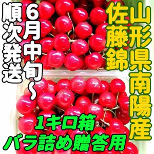 南陽特産の真っ赤で甘酸っぱいさくらんぼ佐藤錦です！予約商品6月中旬～7月初旬お届け★さくらんぼ佐藤錦1キロバラ詰め・贈答用★