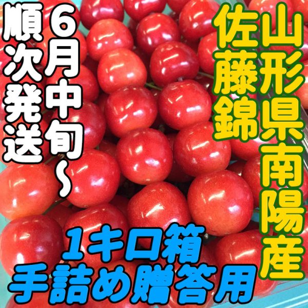 南陽特産の真っ赤で甘酸っぱいさくらんぼ佐藤錦です！予約商品6月中旬～7月初旬お届け★さくらんぼ佐藤錦1キロ手詰め最高級品・贈答用★