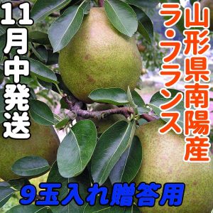 ～11月下旬ごろまで～★ラ・フランス９玉入れ★山形県南陽産・最高級品♪～お歳暮、クリスマスプレゼント、贈り物に～